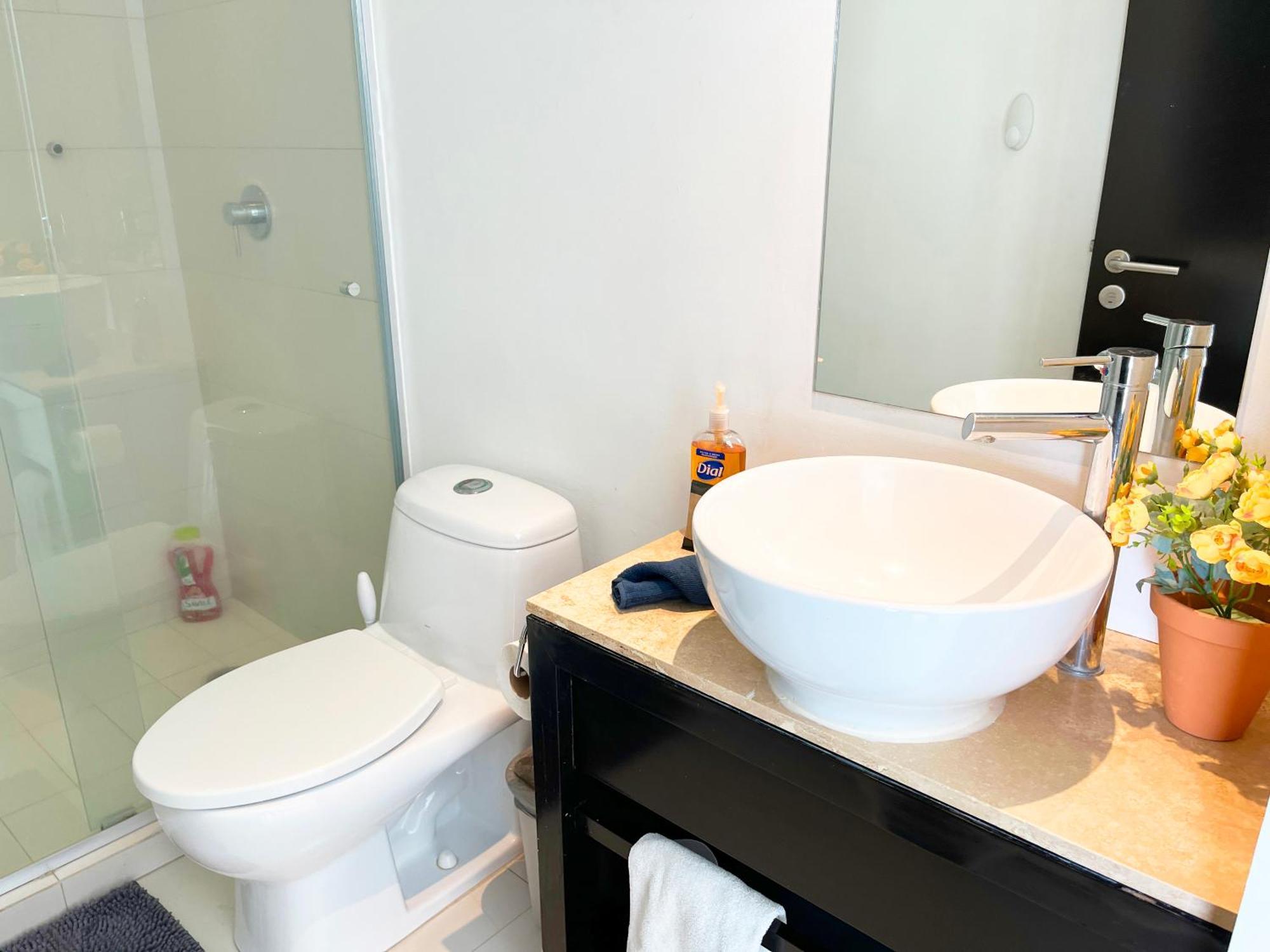 Beguest Polanco 1 Bedroom Wsh Dry Terrace * Mexico City